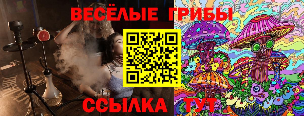 купить закладку  Вход с VPN  Верхняя Пышма  Галлюциногенные грибы Magic Shrooms 
