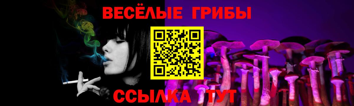 Галлюциногенные грибы MAGIC MUSHROOMS Верхняя Пышма